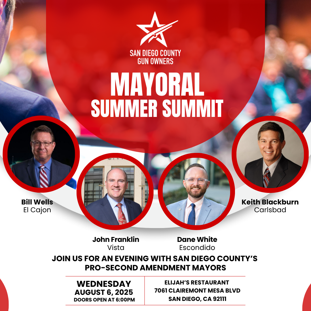 Mayoral Summit
